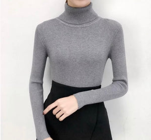 Ribbed turtleneck